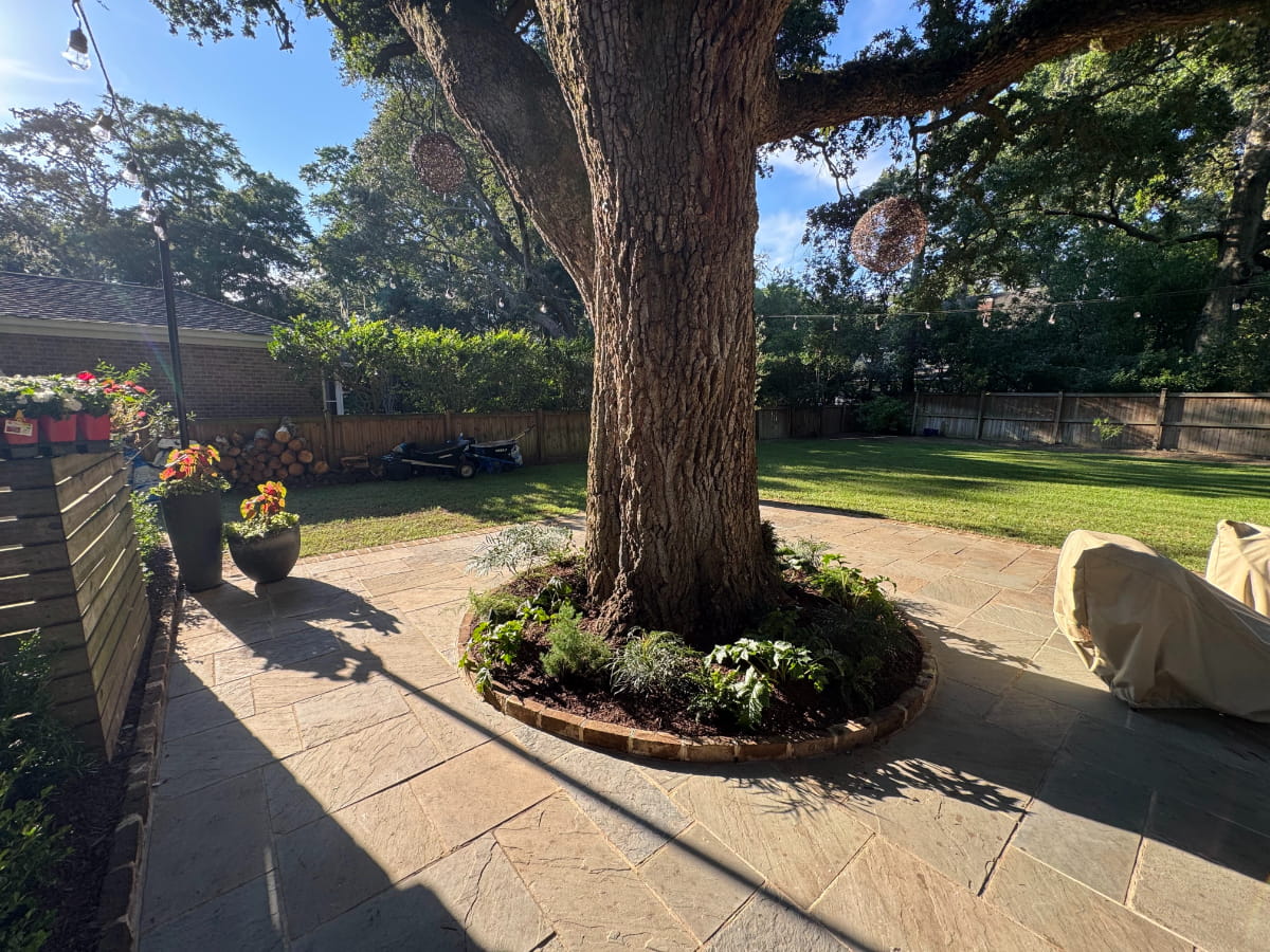 Paved backyard patio wrapping around a mature live oak