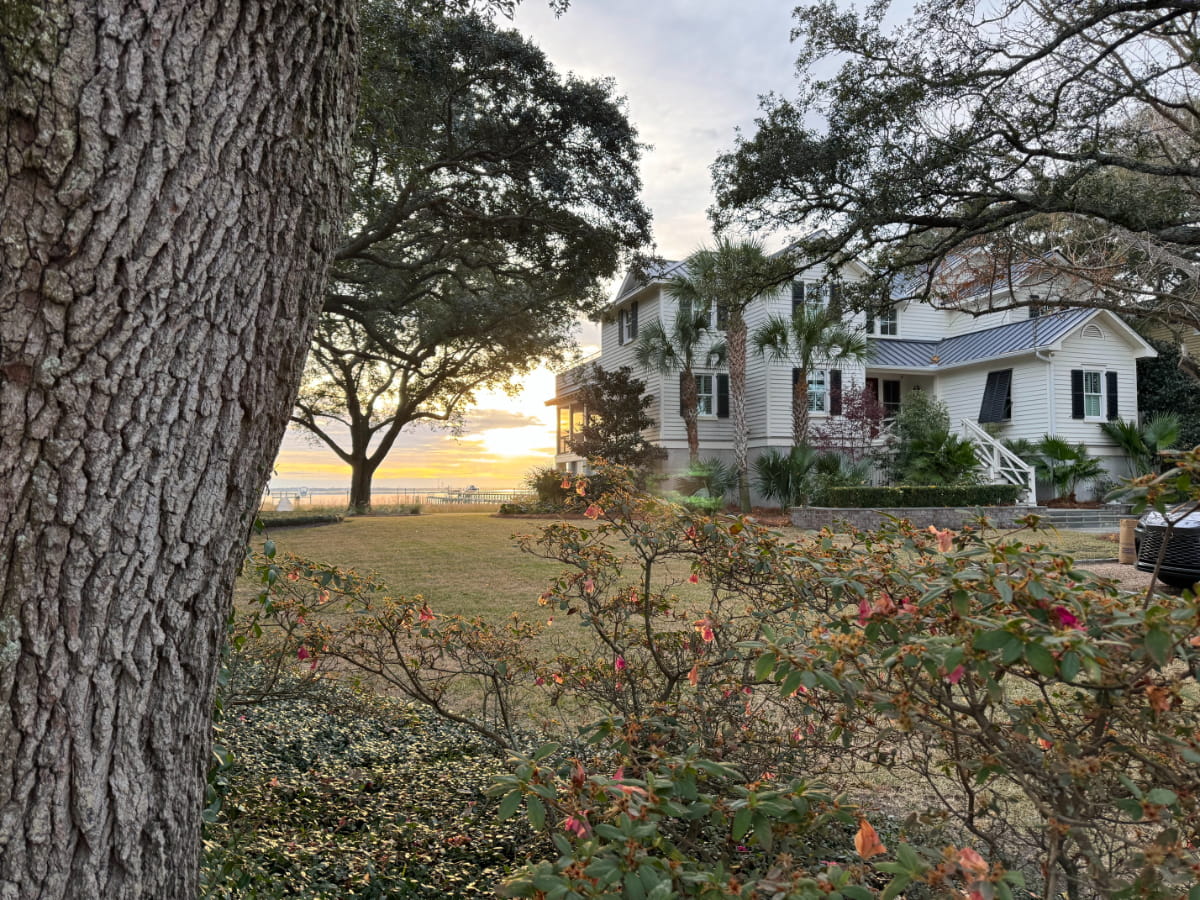 Coastal home and garden framed by mature live oak trees at sunset