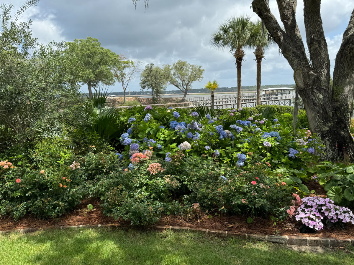 Blue hydrangeas and layered coastal plantings overlooking the water
